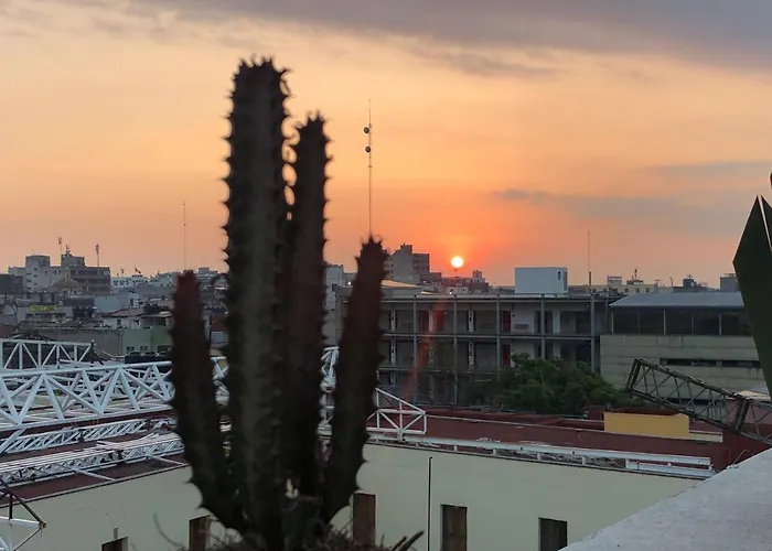 Casa Eufemia Type Mexico City